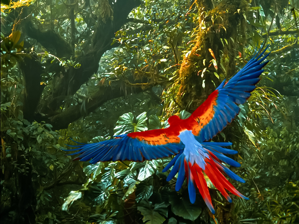 Costa Rica – Projet Atlas